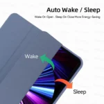 kf-Se07c745f26c2403ead18912a3583633fS